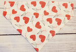 Airplanes and Hearts Over the Collar Pet Bandana